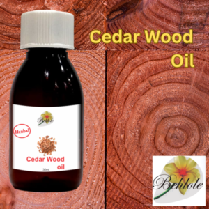 Cedar Wood Oil, Aroma