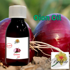 Onion Oil, Aroma