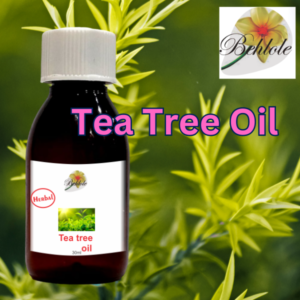 Tea Tree Oil, Aroma