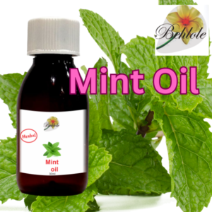 Mint Oil, Aroma