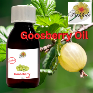 Gooseberry Oil, Aroma